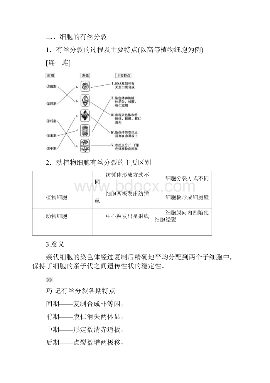 高考生物总复习第4单元第11讲细胞的增殖学案.docx_第2页