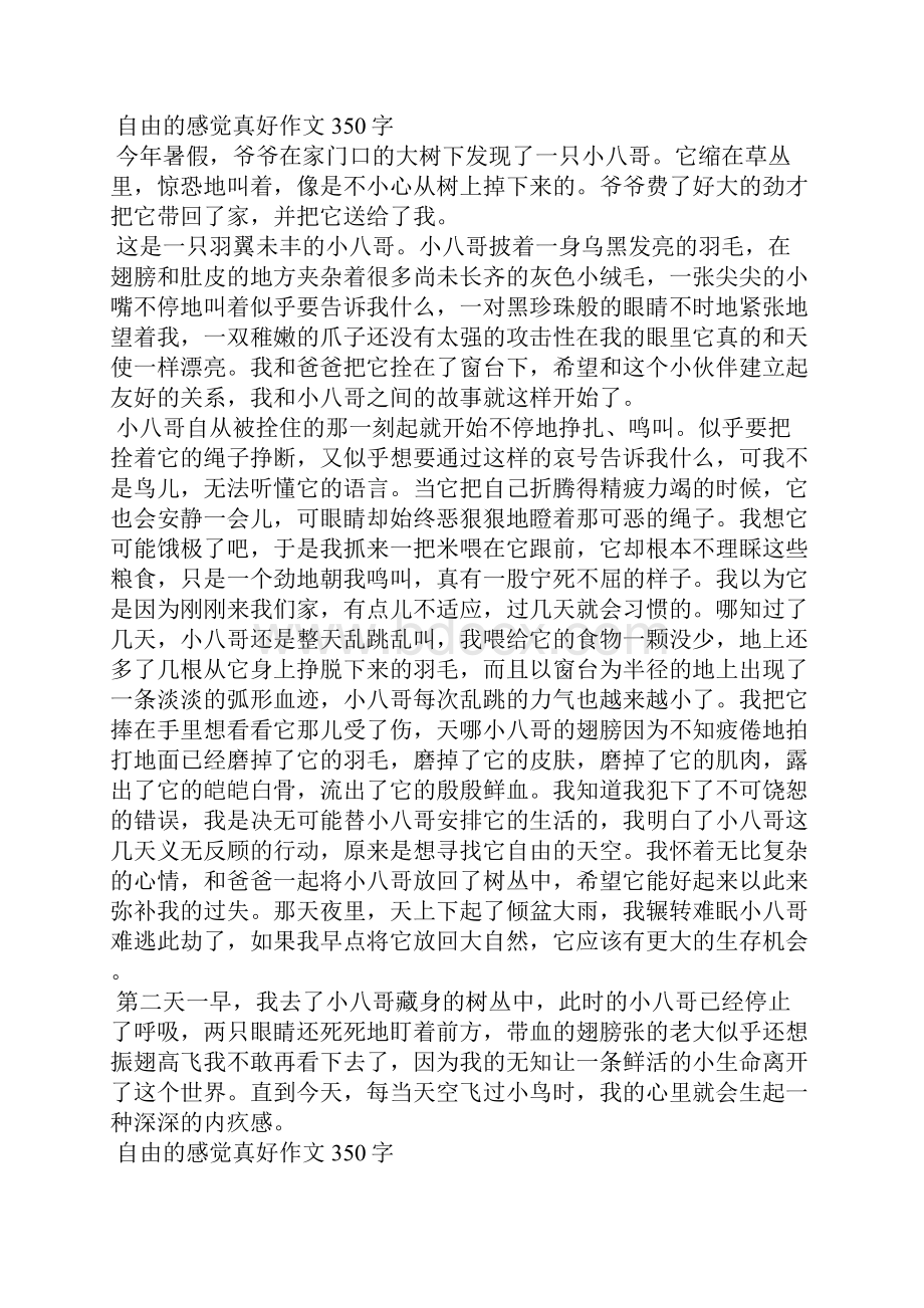 自由的感觉真好.docx_第3页