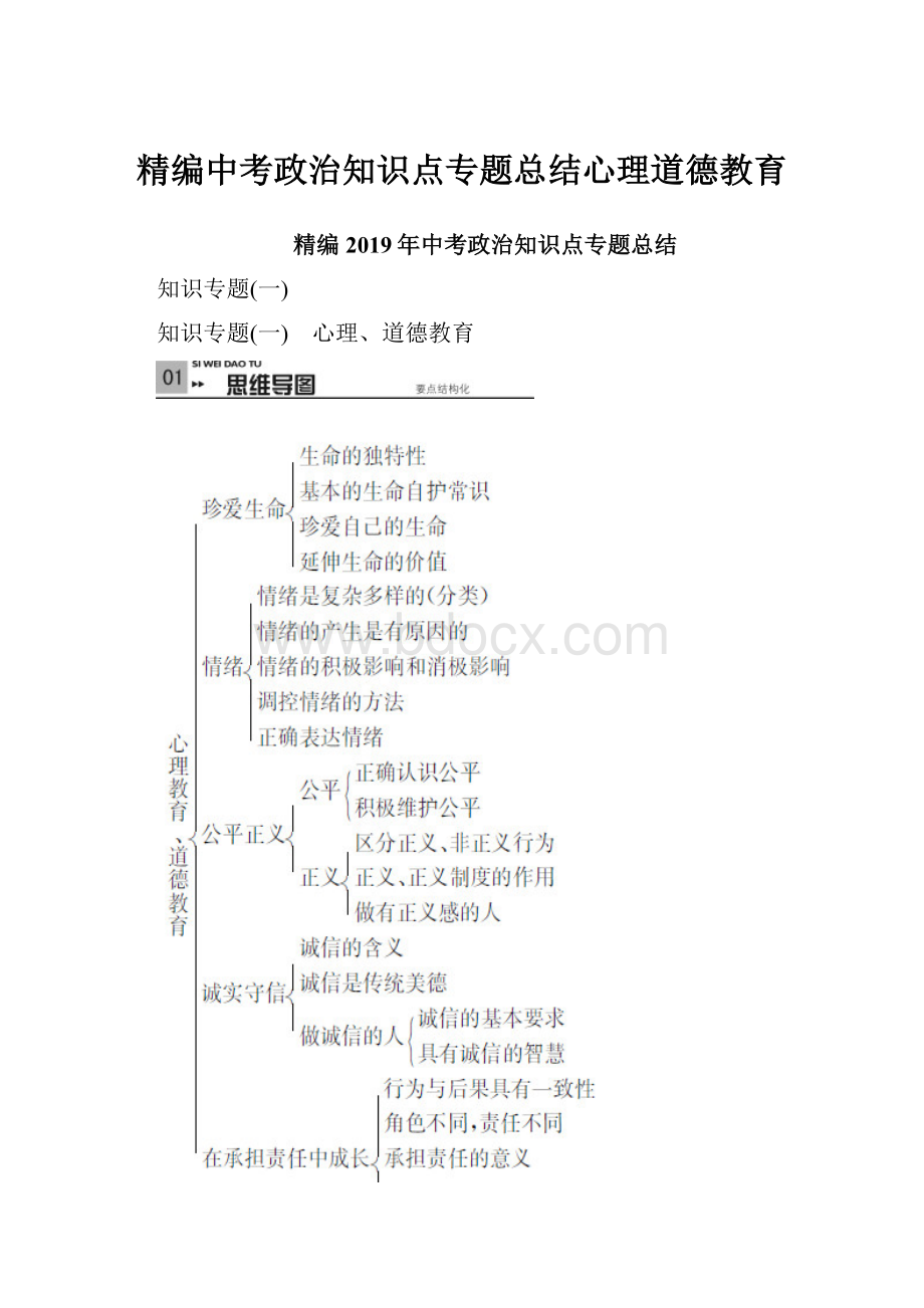 精编中考政治知识点专题总结心理道德教育.docx_第1页