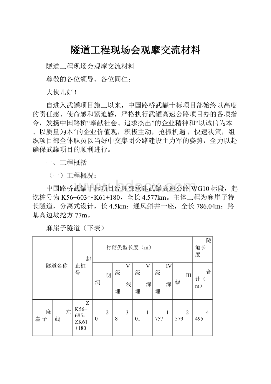 隧道工程现场会观摩交流材料.docx_第1页