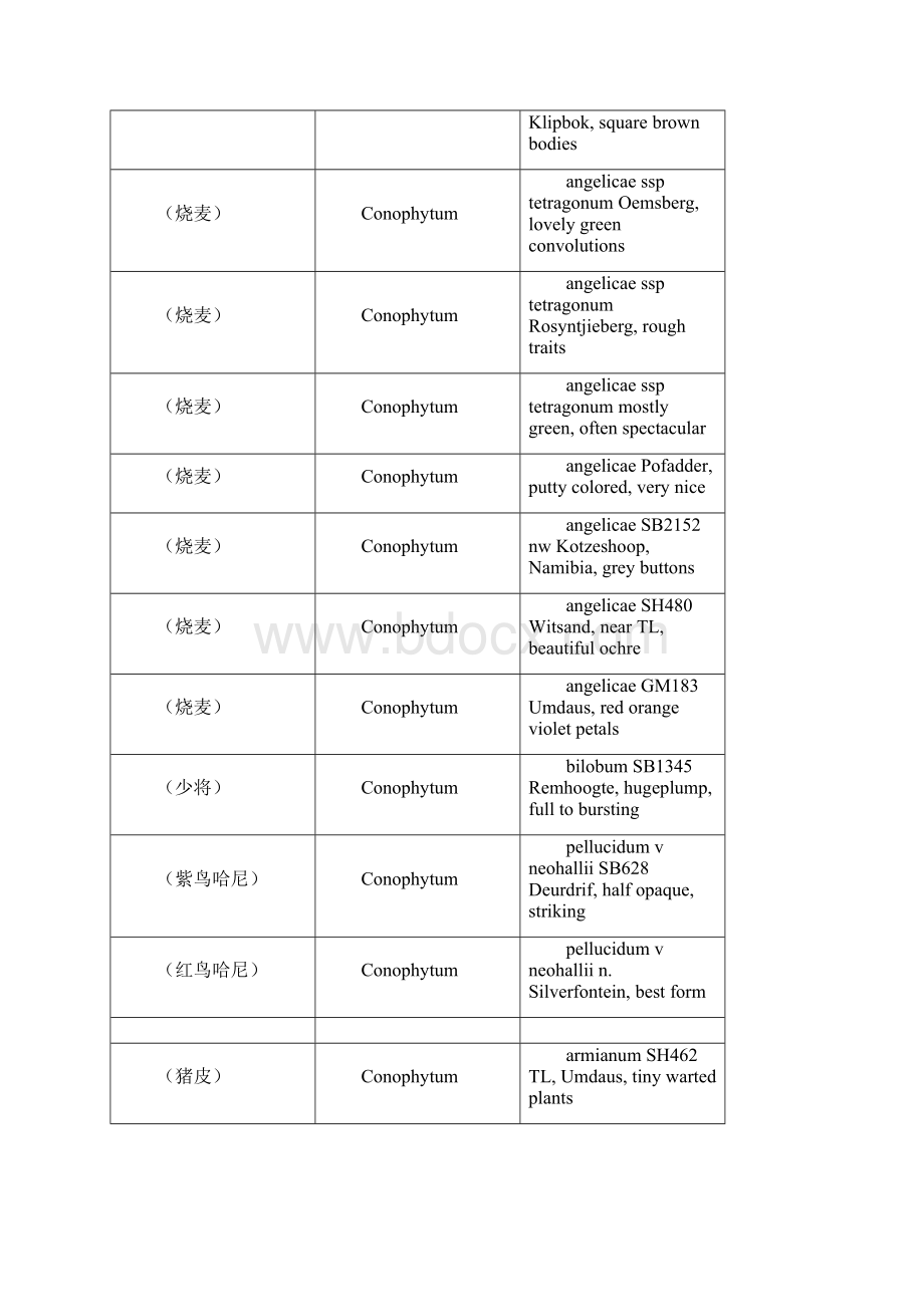 mesa肉锥种子中英文对照.docx_第2页