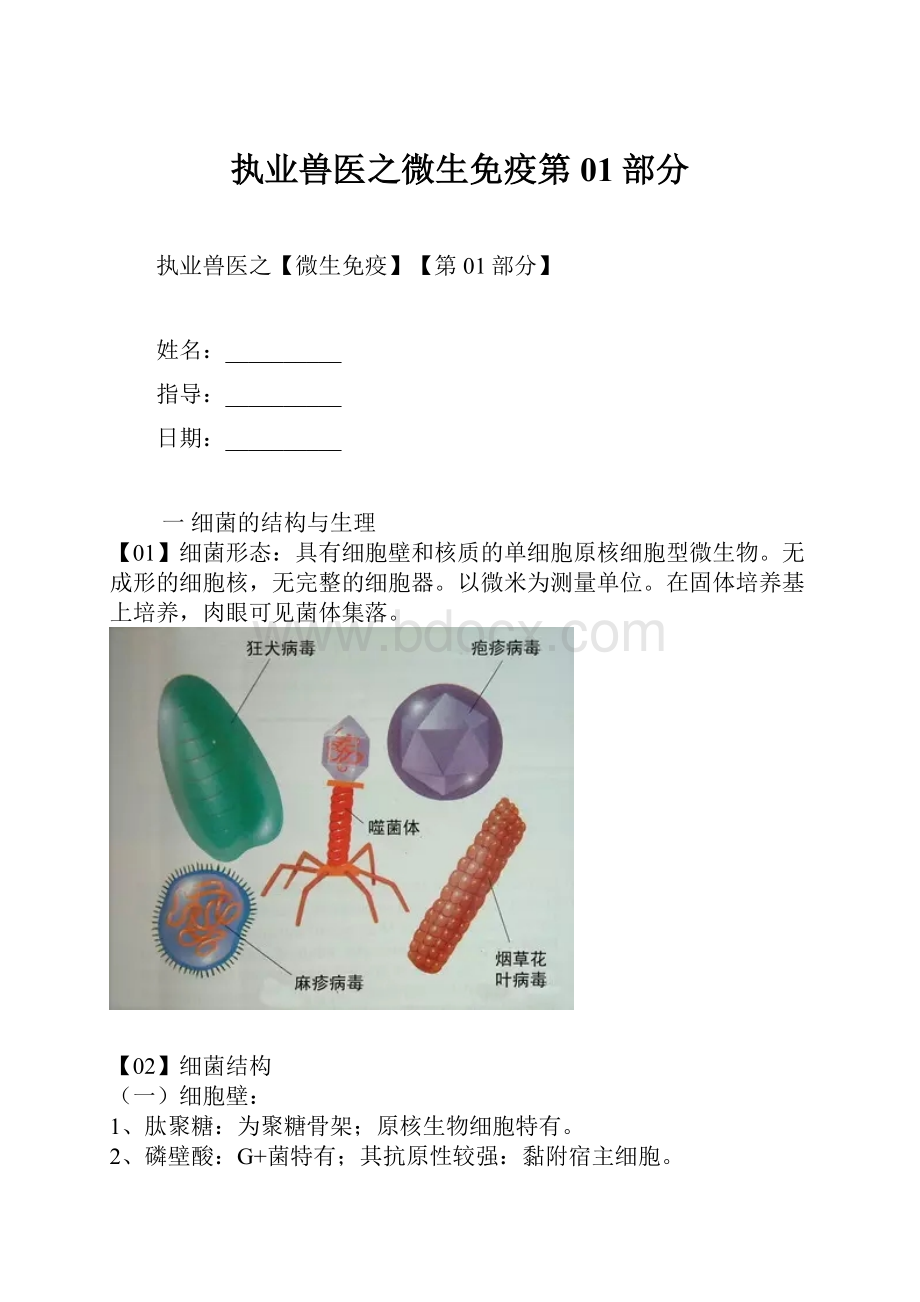 执业兽医之微生免疫第01部分.docx_第1页