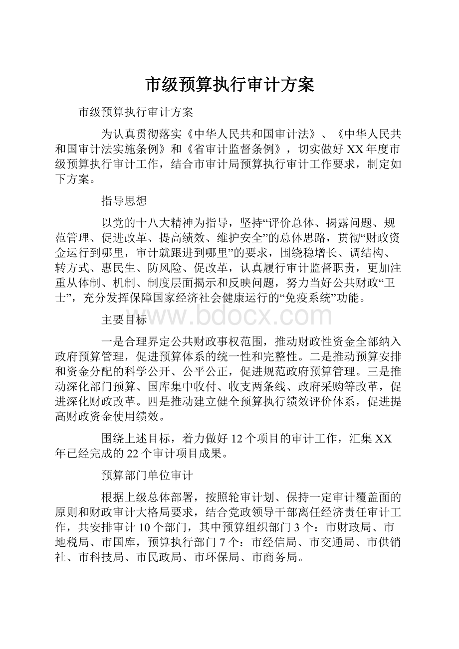 市级预算执行审计方案.docx_第1页