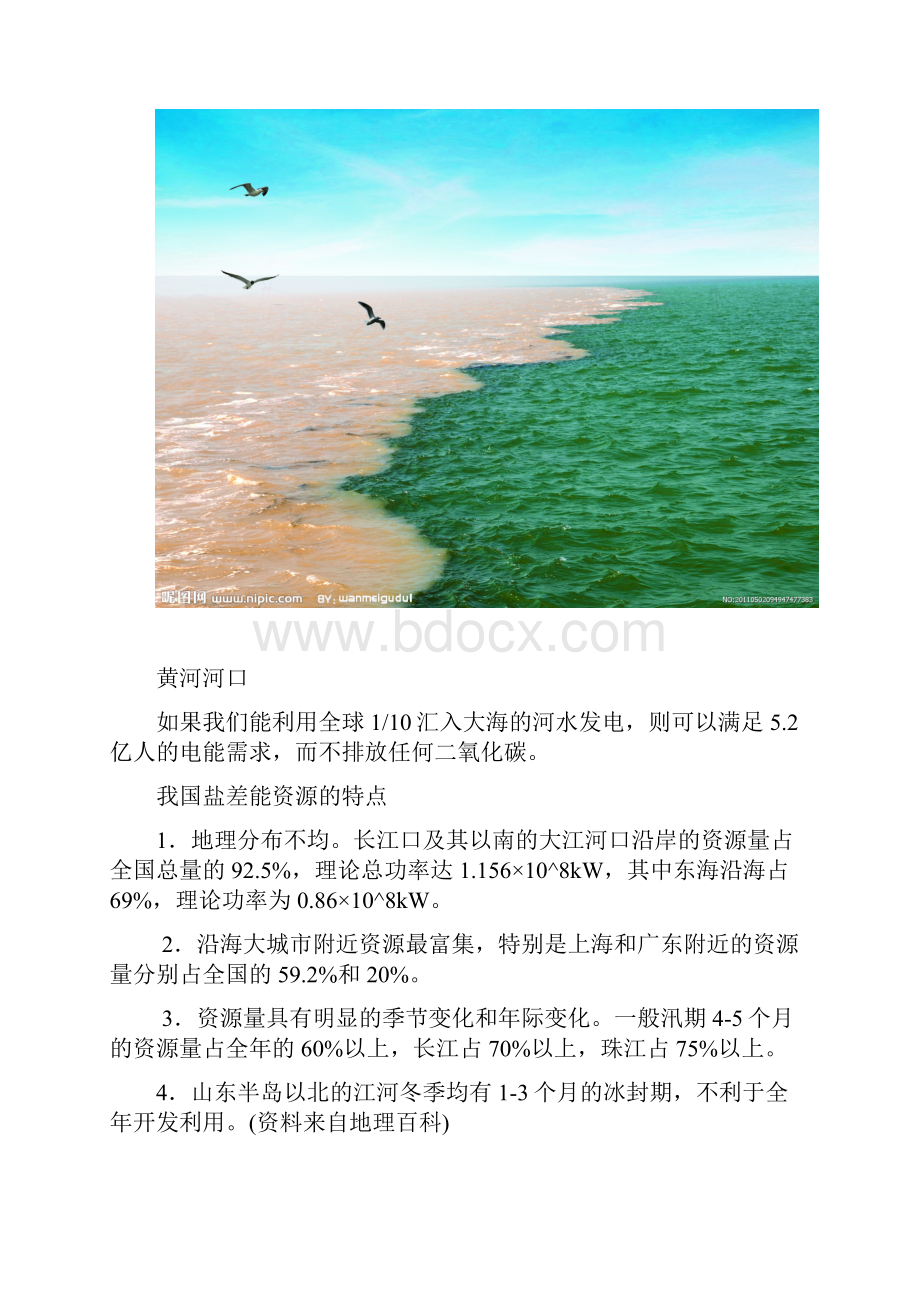 关于盐差能发电的研究报告.docx_第2页