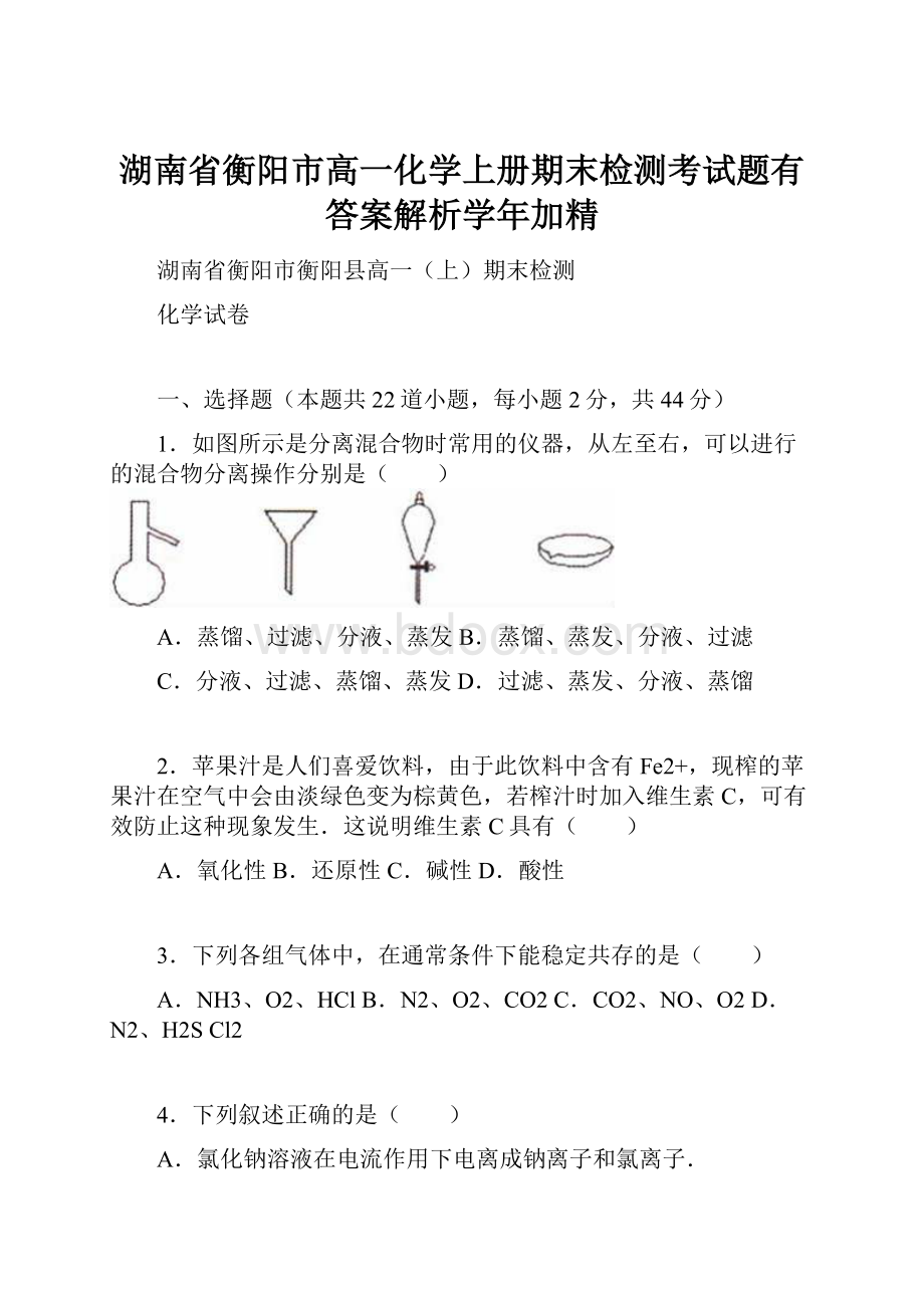 湖南省衡阳市高一化学上册期末检测考试题有答案解析学年加精.docx_第1页