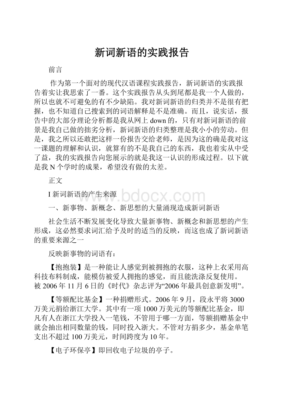 新词新语的实践报告.docx