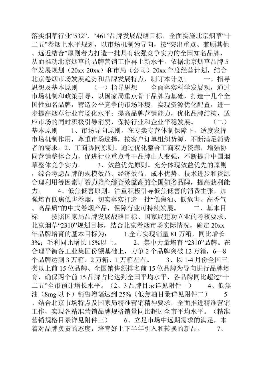 品牌维护计划共11页.docx_第3页