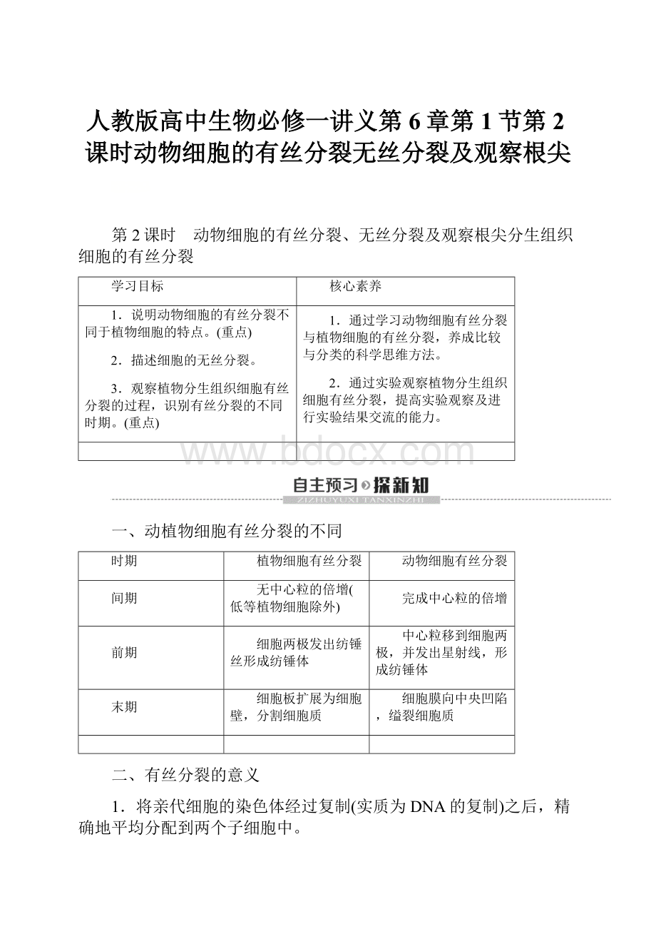 人教版高中生物必修一讲义第6章第1节第2课时动物细胞的有丝分裂无丝分裂及观察根尖.docx