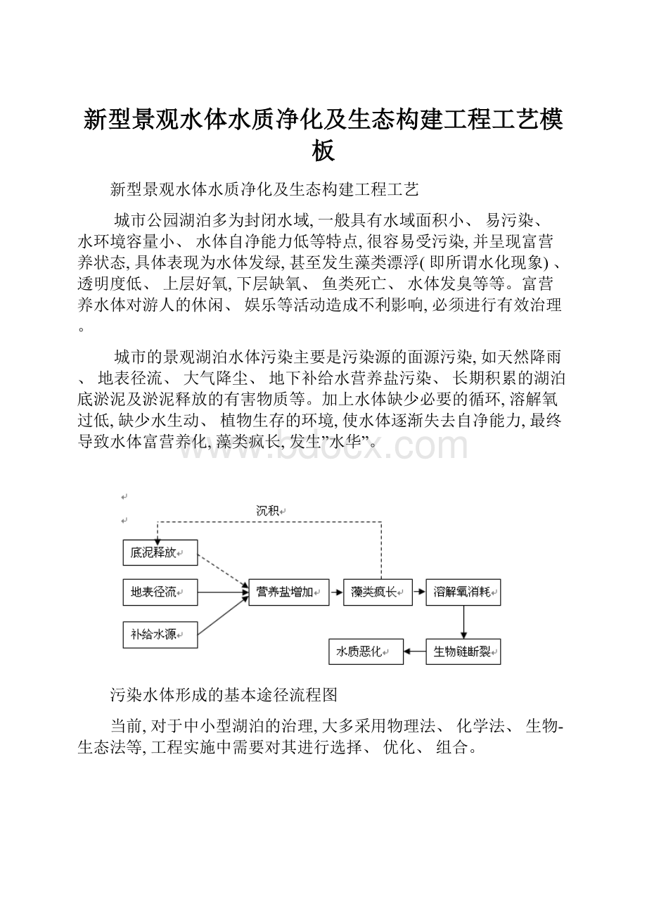 新型景观水体水质净化及生态构建工程工艺模板.docx