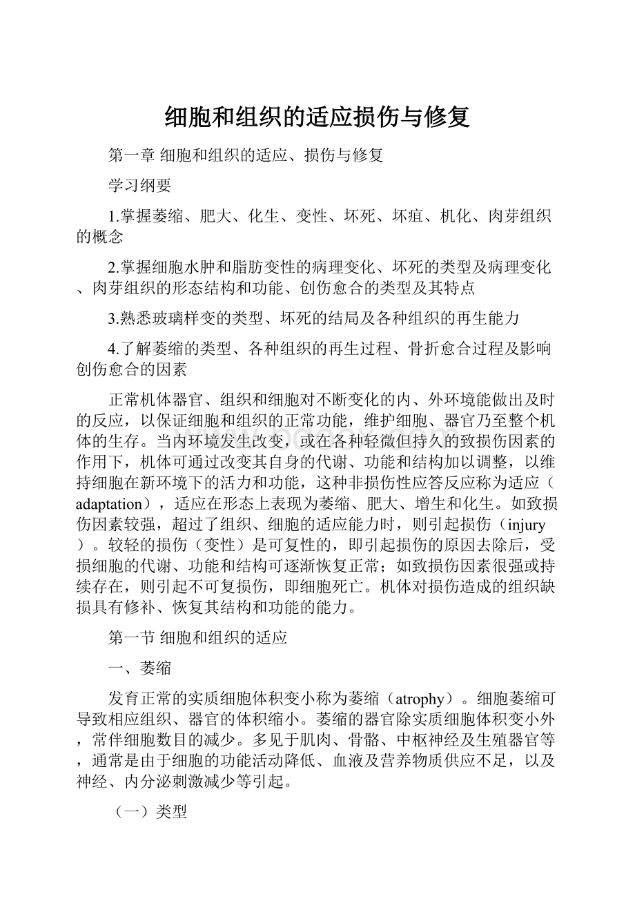 细胞和组织的适应损伤与修复.docx