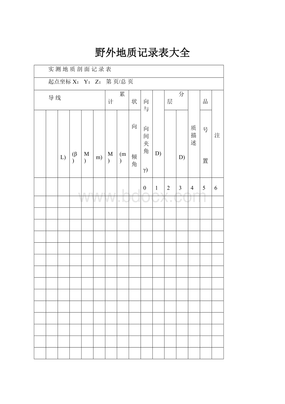 野外地质记录表大全.docx