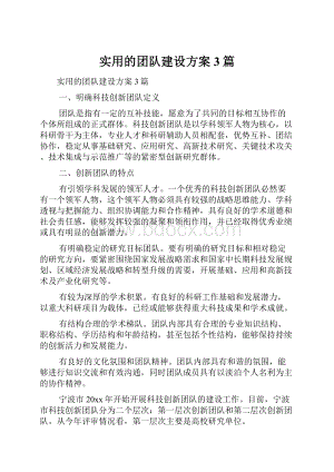 实用的团队建设方案3篇.docx