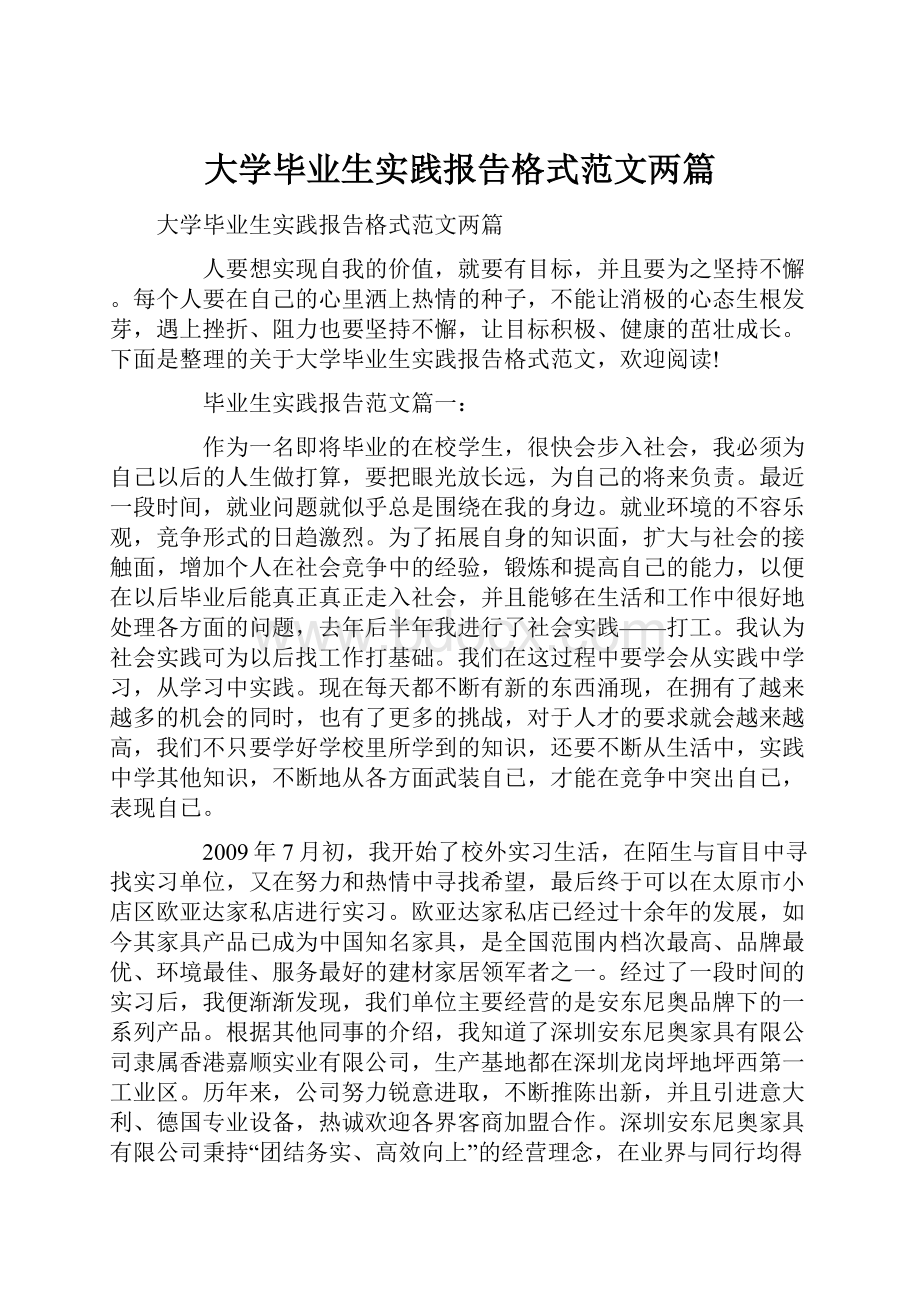 大学毕业生实践报告格式范文两篇.docx_第1页