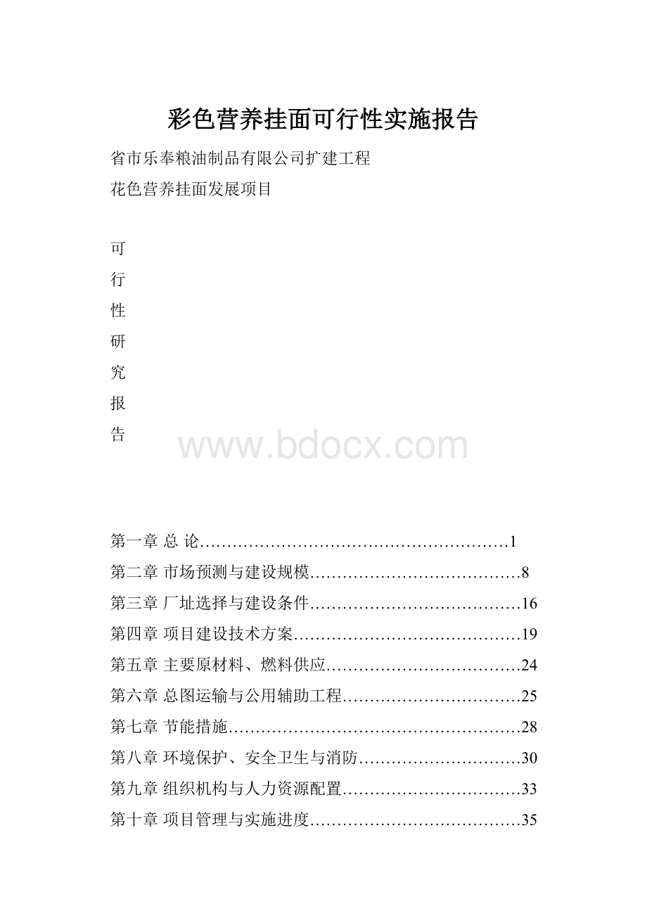 彩色营养挂面可行性实施报告.docx