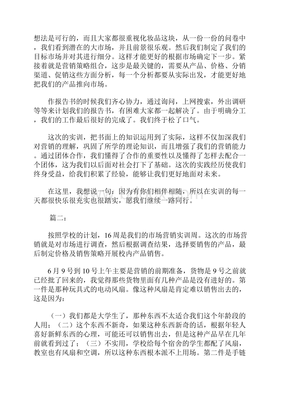 大学市场营销实训个人总结三篇.docx_第2页