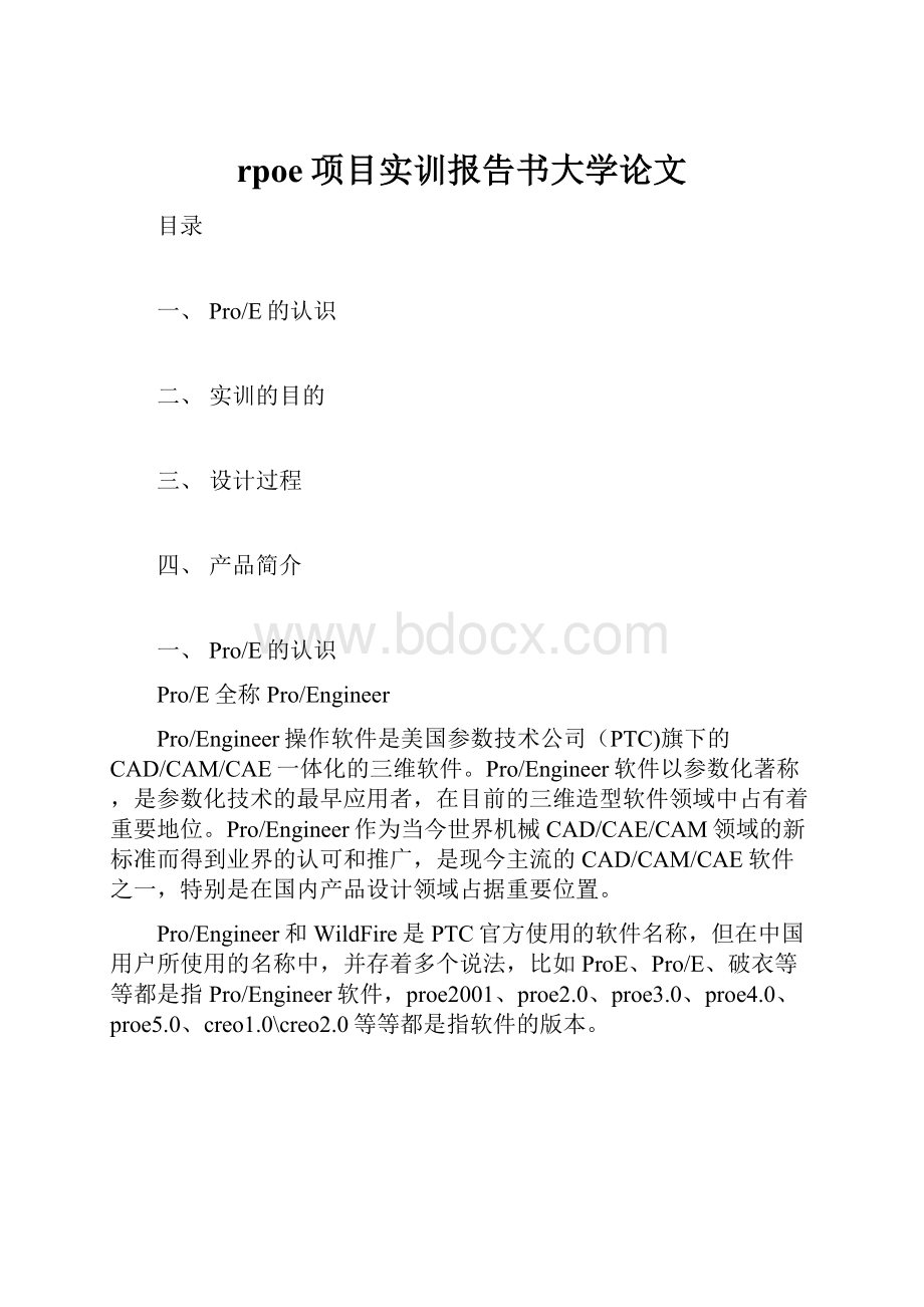 rpoe项目实训报告书大学论文.docx_第1页