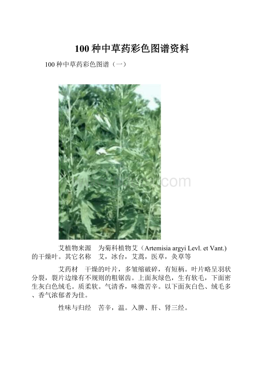 100种中草药彩色图谱资料.docx