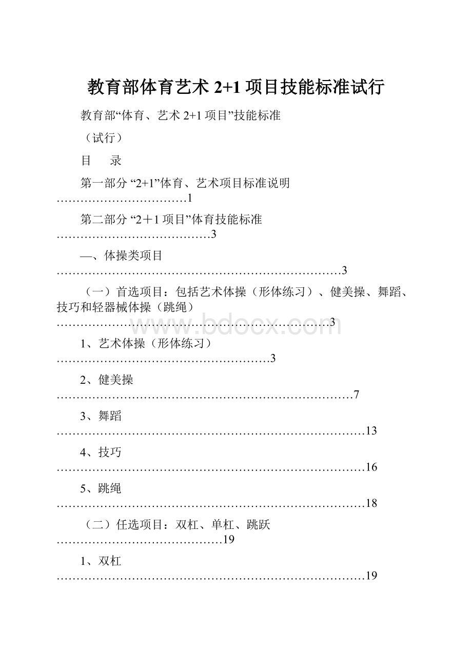 教育部体育艺术2+1项目技能标准试行.docx