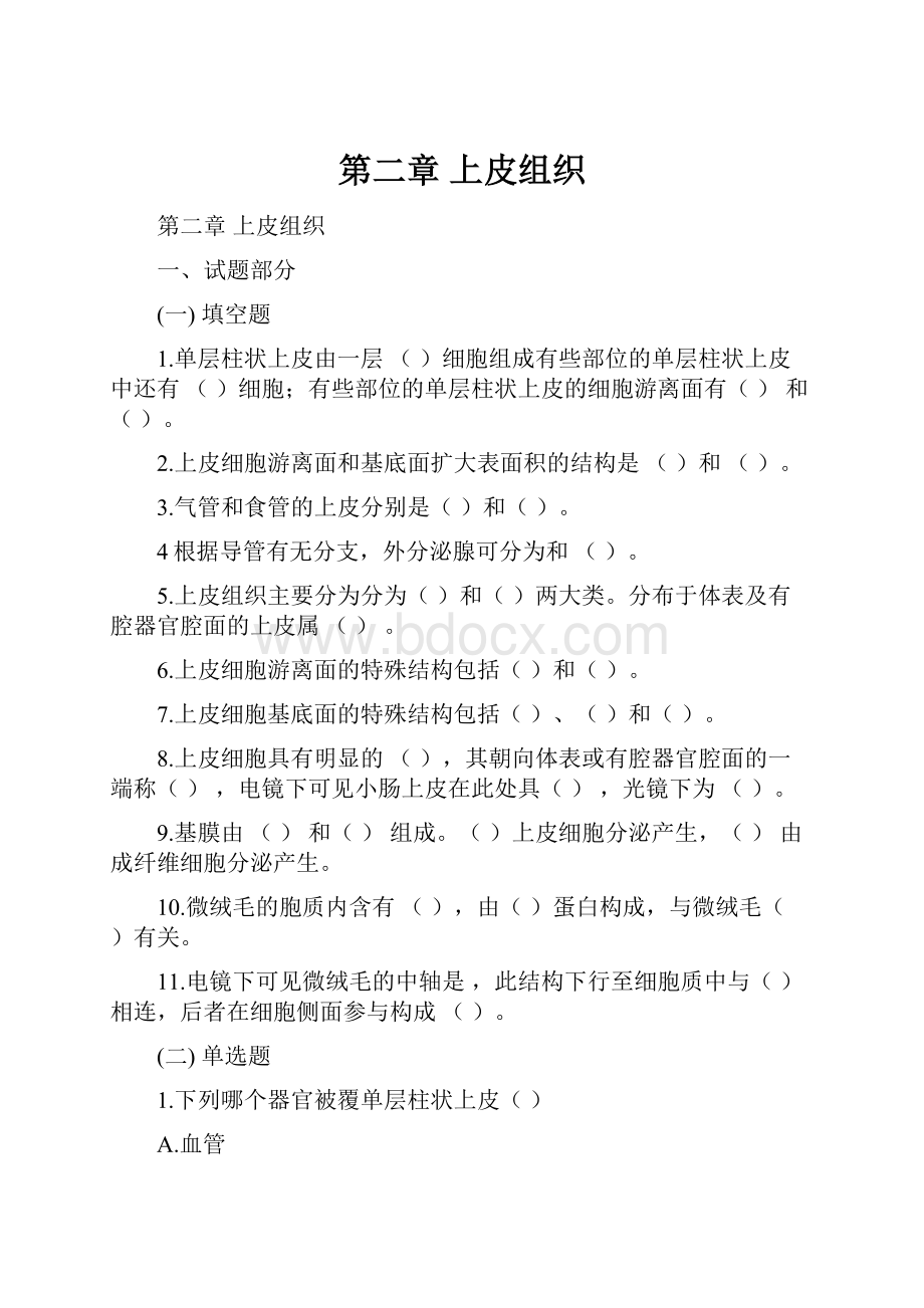 第二章 上皮组织.docx_第1页