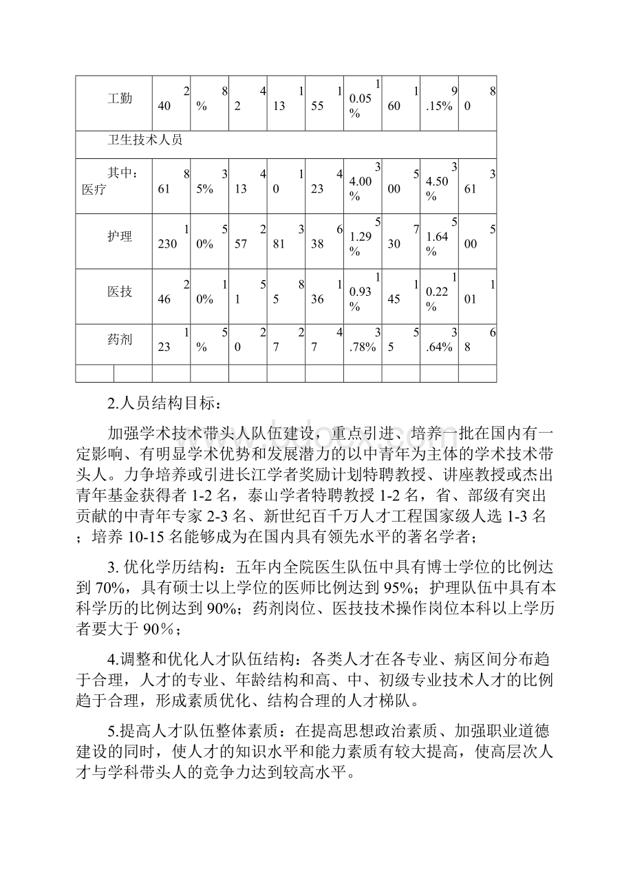 人才队伍建设规划.docx_第3页