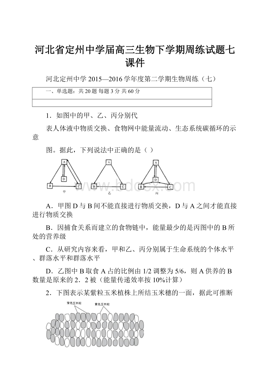 河北省定州中学届高三生物下学期周练试题七课件.docx_第1页