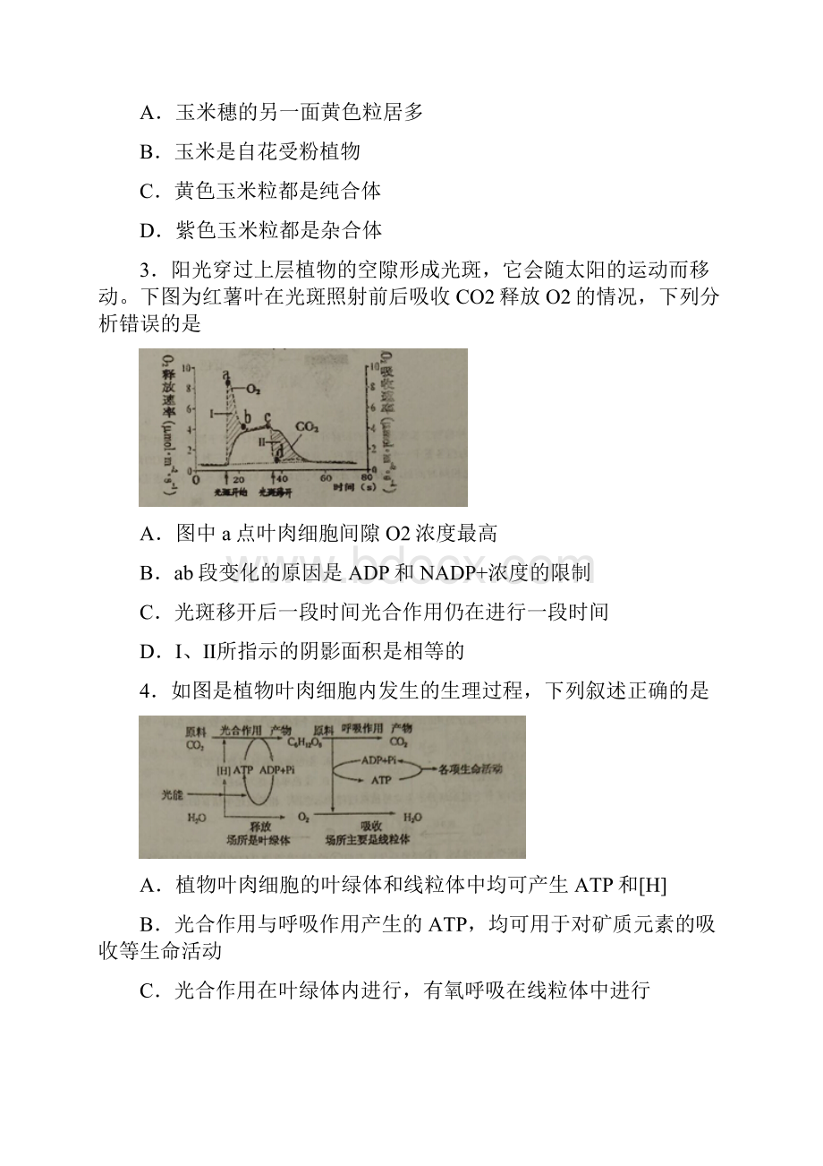 河北省定州中学届高三生物下学期周练试题七课件.docx_第2页