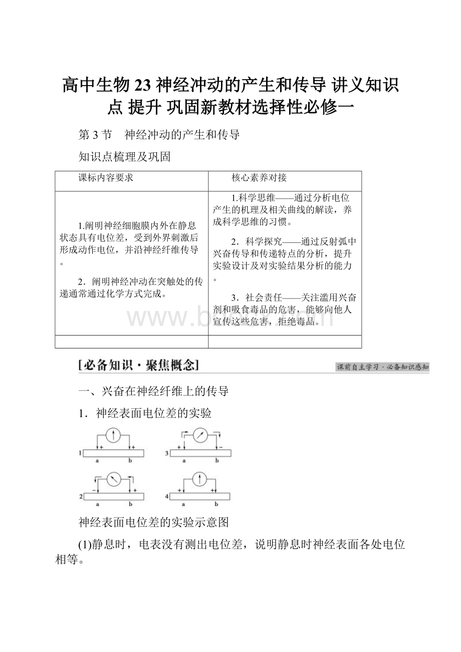 高中生物23 神经冲动的产生和传导 讲义知识点 提升 巩固新教材选择性必修一.docx_第1页