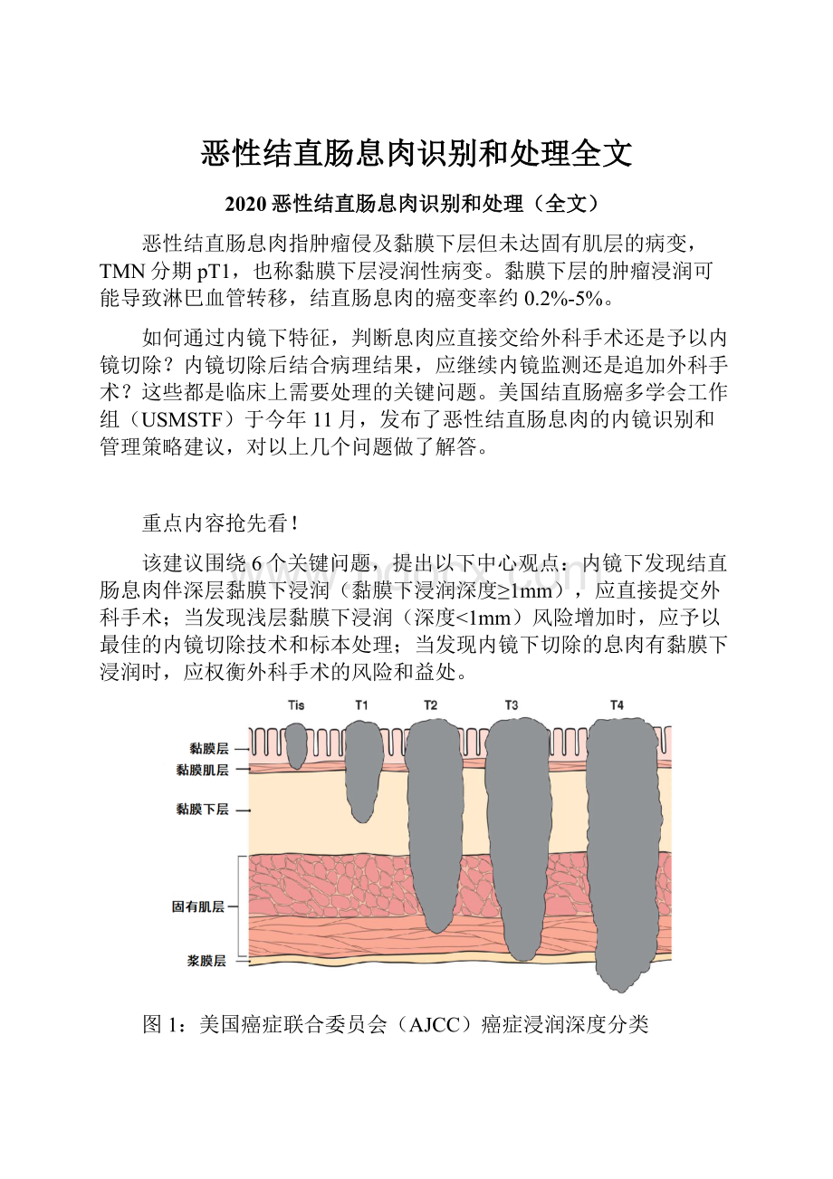 恶性结直肠息肉识别和处理全文.docx