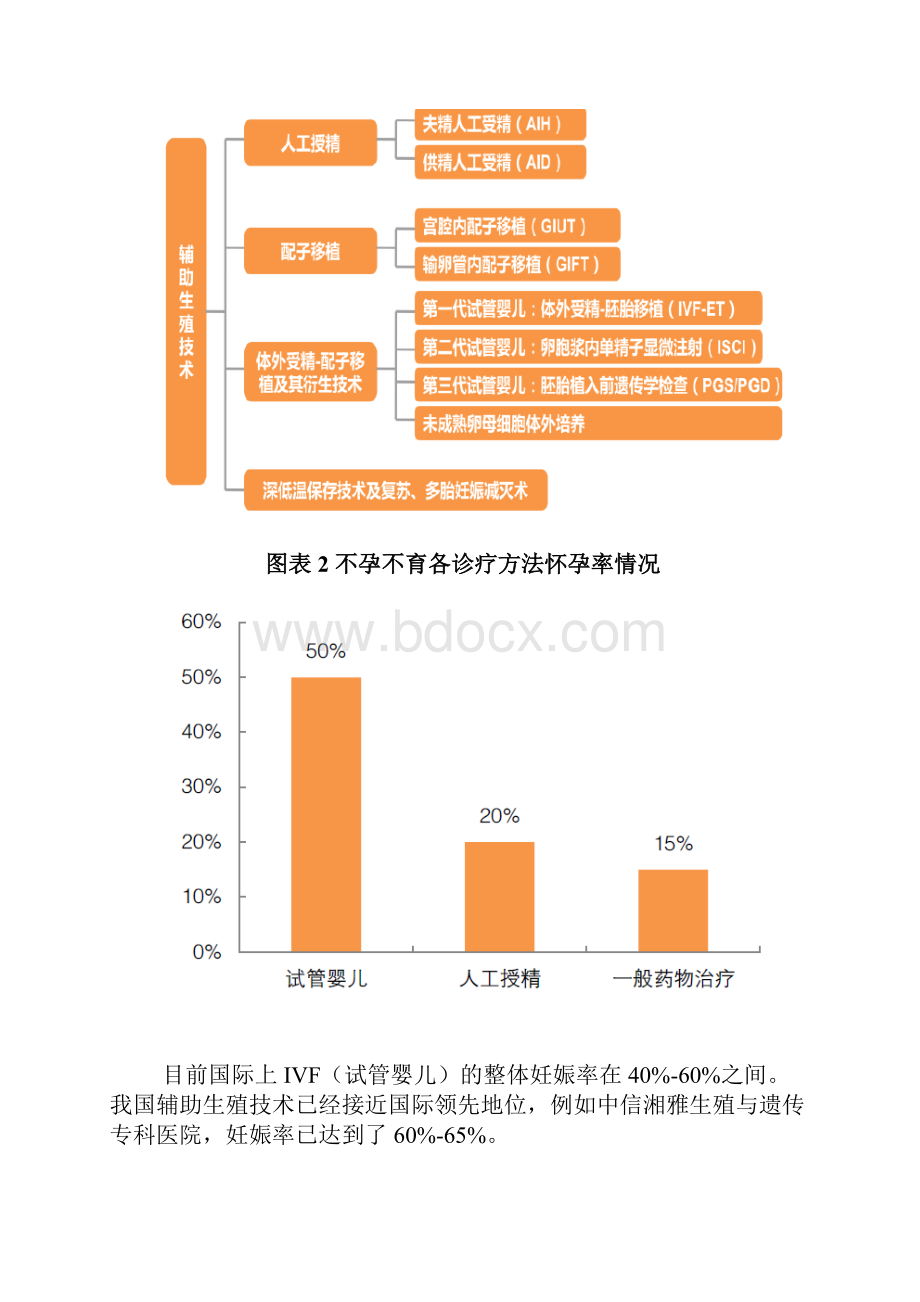 IVF试管婴儿专题二孩政策市场分析报告.docx_第2页