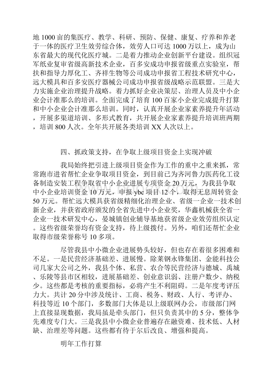 中小企业局年度企业进展工作总结.docx_第3页