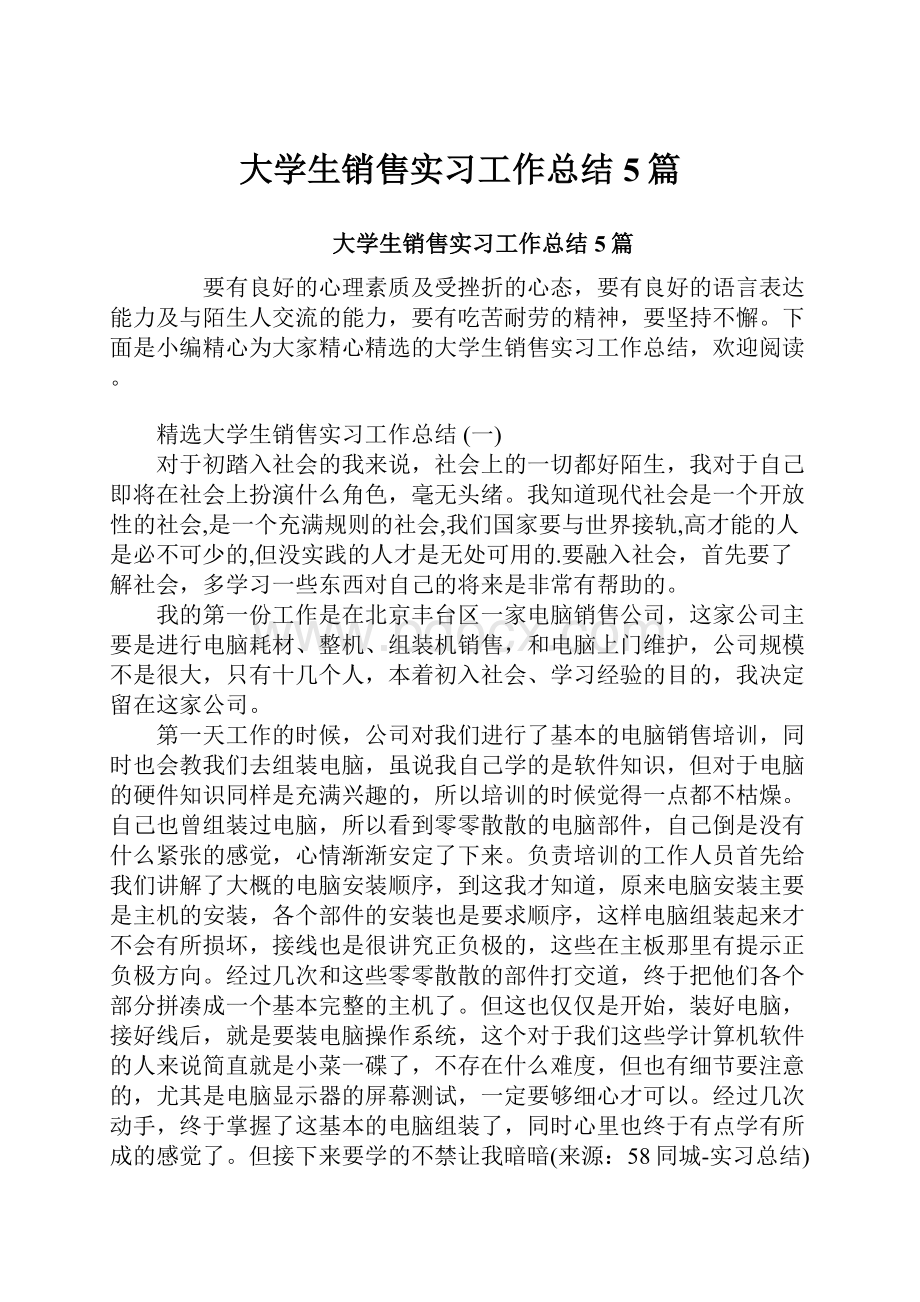 大学生销售实习工作总结5篇.docx