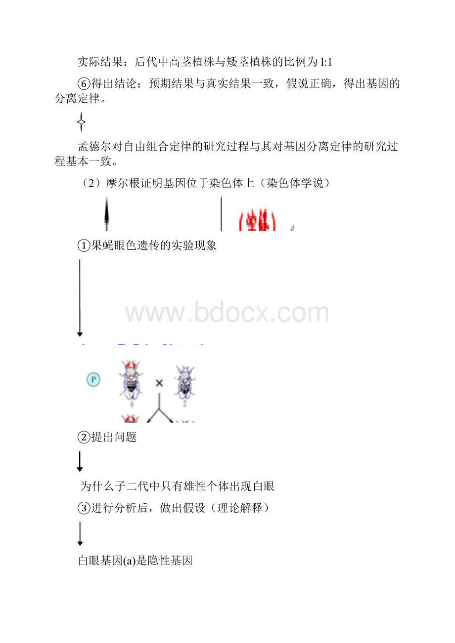 高考生物二轮复习生物学科学研究方法专题考点及题型归纳.docx_第3页