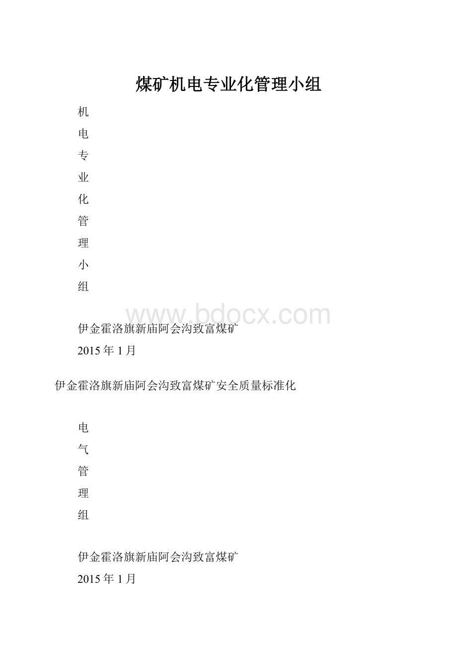 煤矿机电专业化管理小组.docx