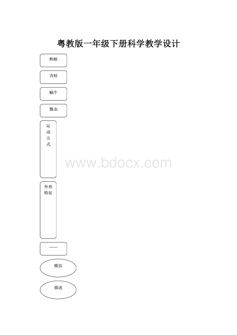 粤教版一年级下册科学教学设计.docx