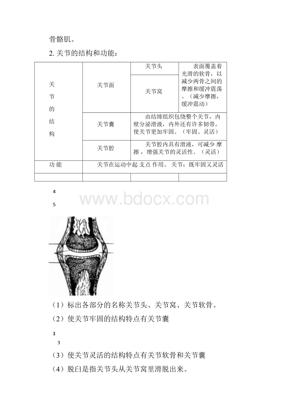 完整word版生物结业考试八年级知识点总结良心出品必属精品.docx_第2页