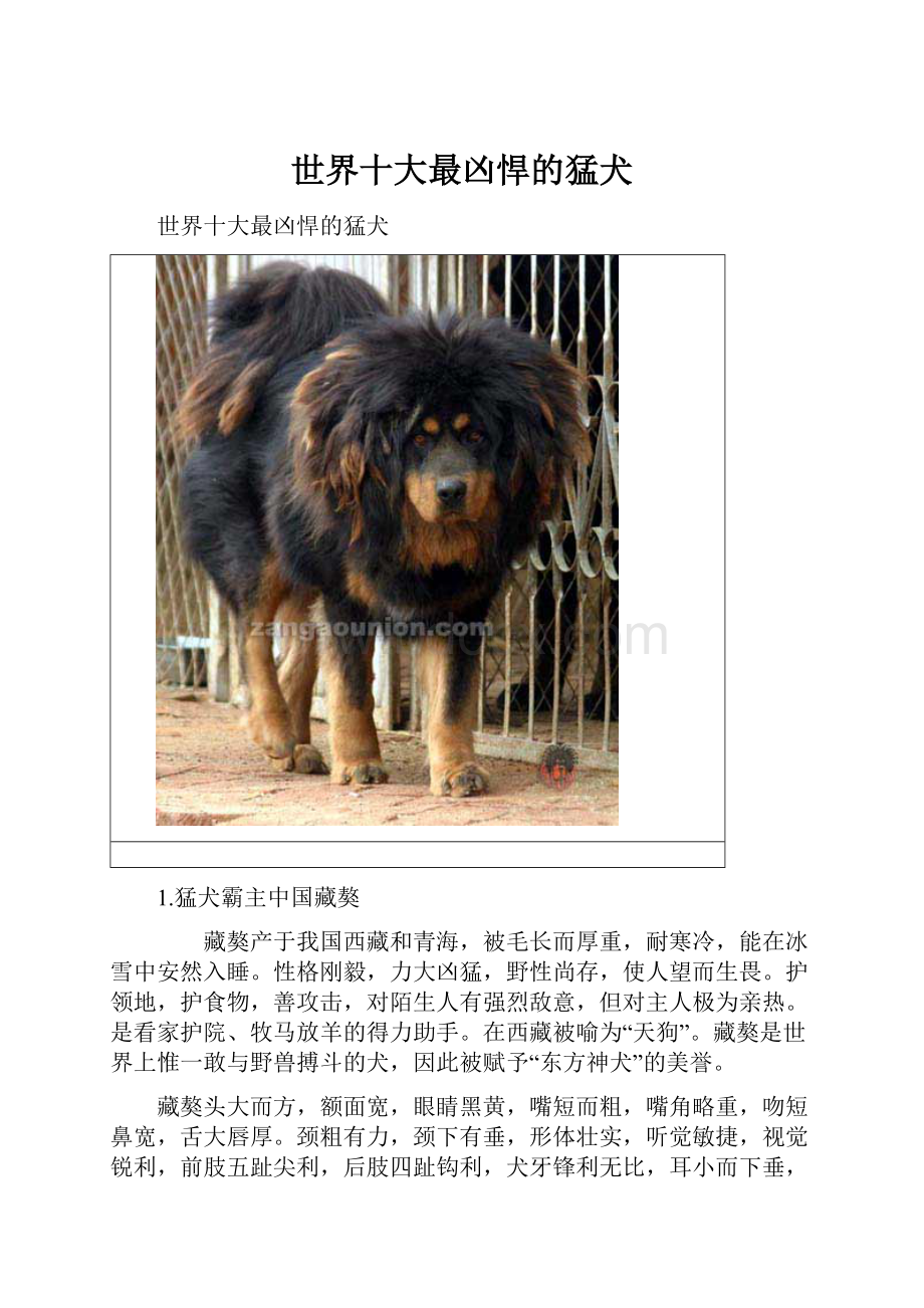 世界十大最凶悍的猛犬.docx_第1页