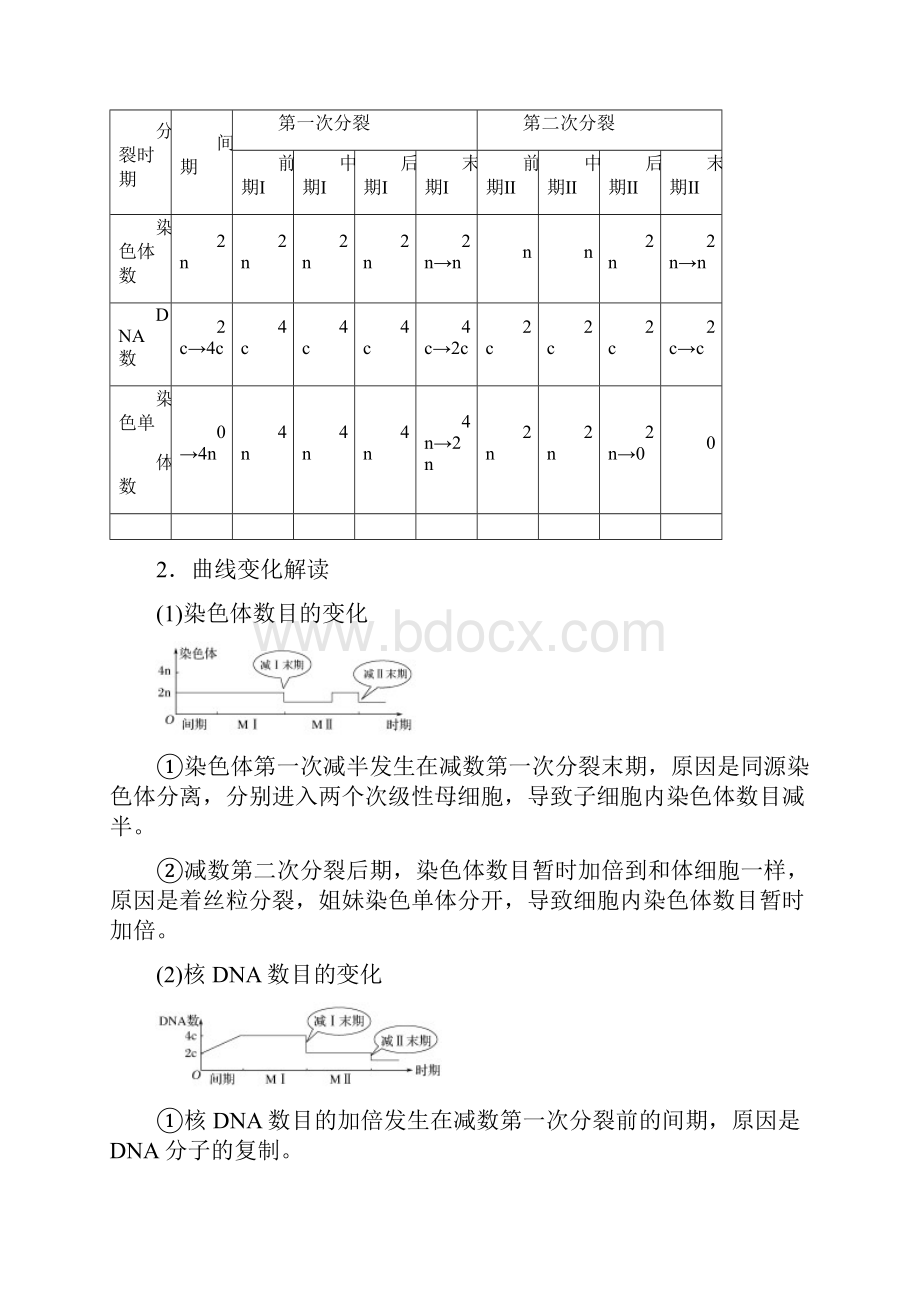 浙江专用学年高中生物第二章染色体数目和DNA含量的变化减数分裂与有丝分裂的异同教案.docx_第2页