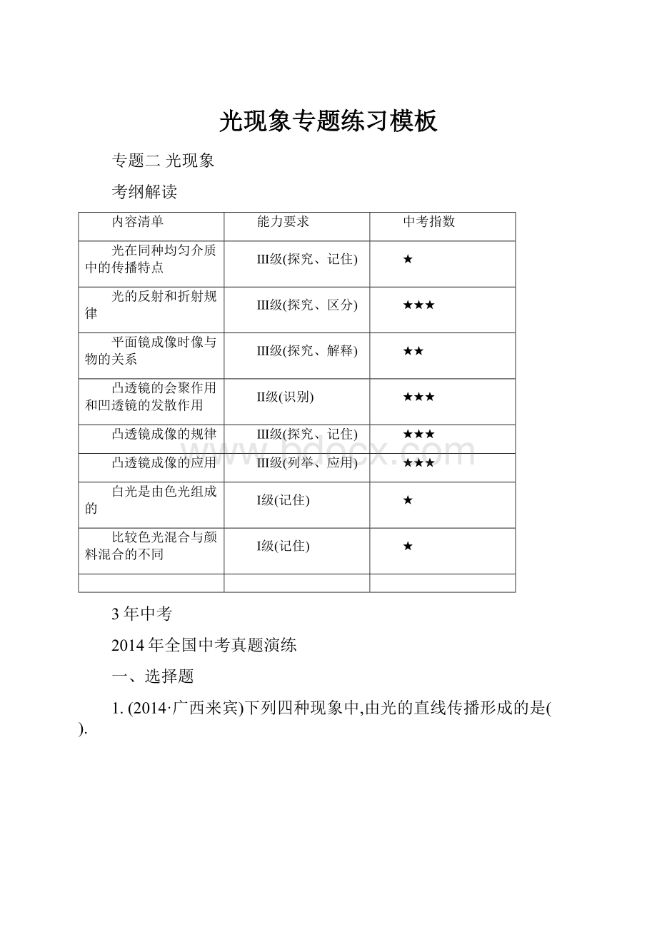 光现象专题练习模板.docx