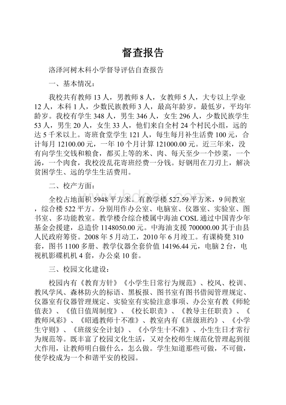 督查报告.docx_第1页