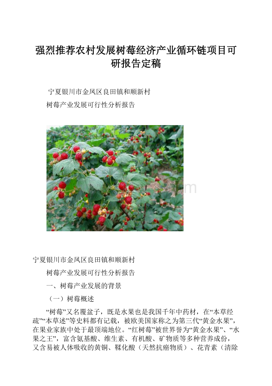 强烈推荐农村发展树莓经济产业循环链项目可研报告定稿.docx