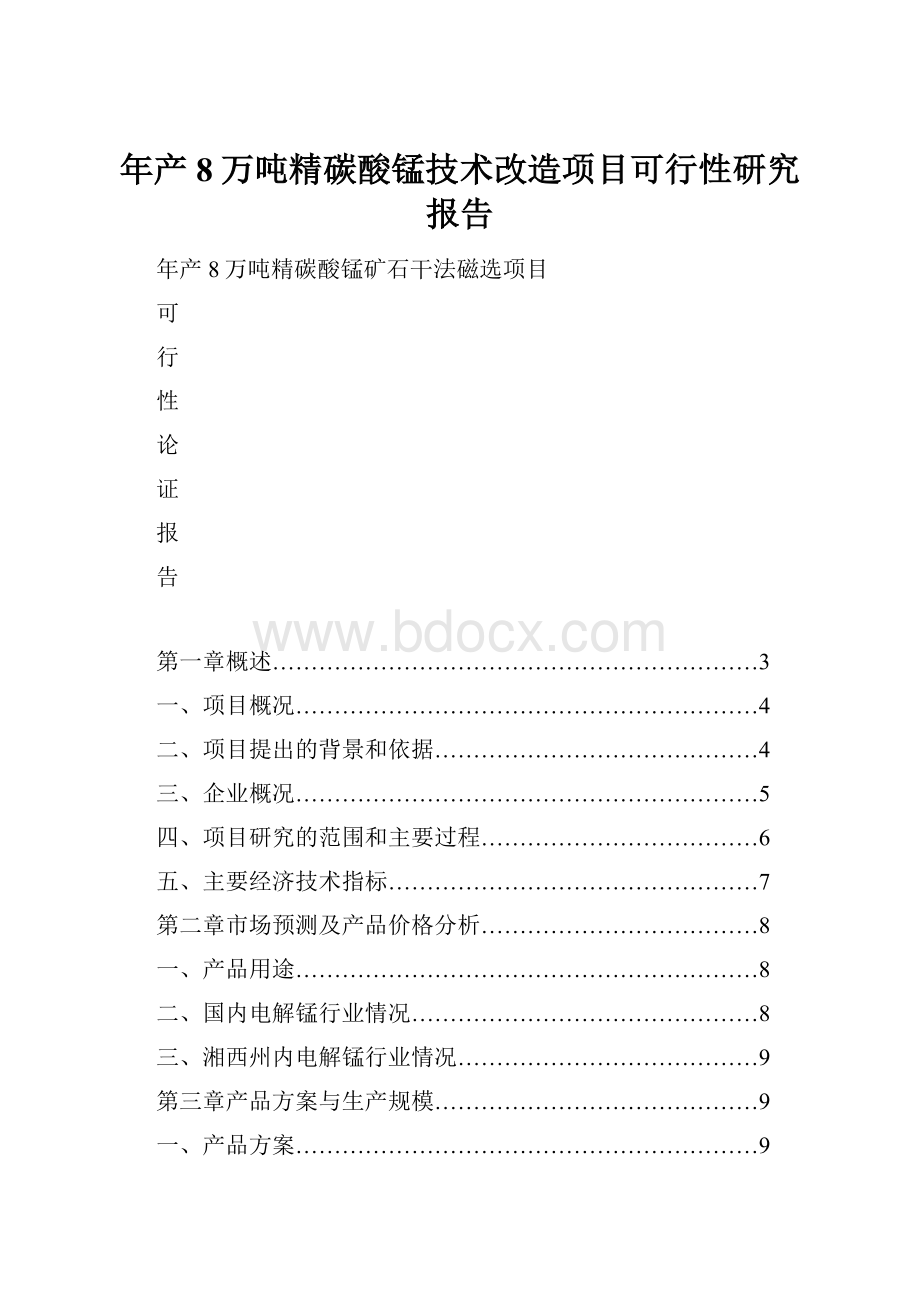 年产8万吨精碳酸锰技术改造项目可行性研究报告.docx_第1页