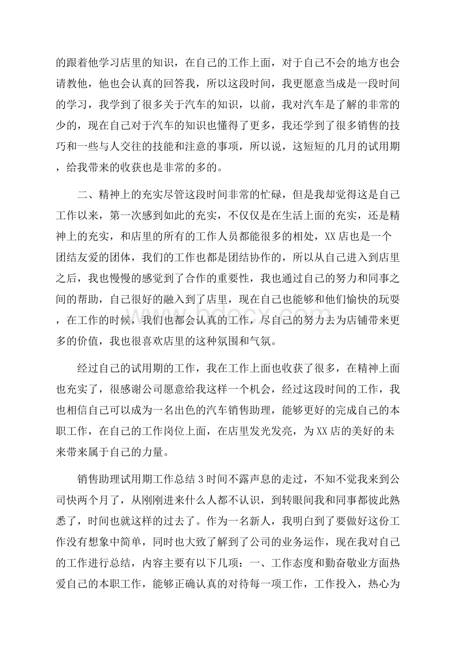 销售助理试用期工作总结.docx_第3页