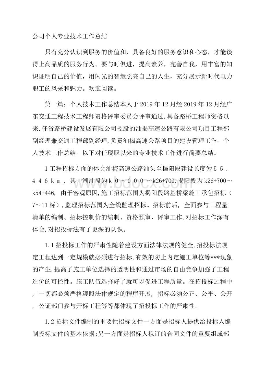 公司个人专业技术工作总结.docx_第1页