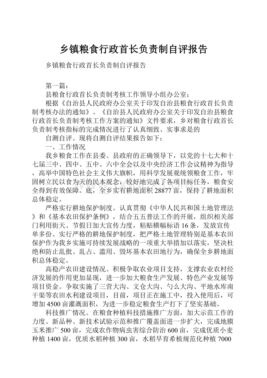 乡镇粮食行政首长负责制自评报告.docx