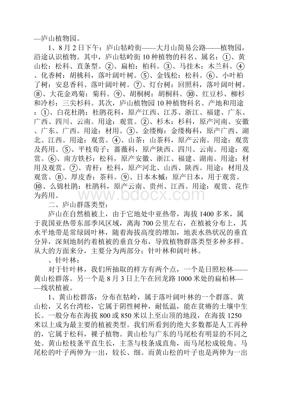 XX年暑假实习报告3000字.docx_第2页