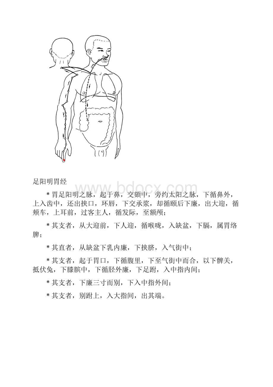 整理十四经络循行原文附图.docx_第2页