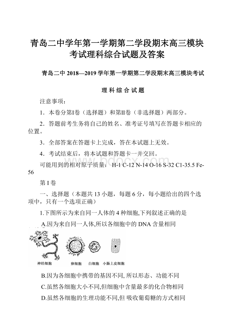 青岛二中学年第一学期第二学段期末高三模块考试理科综合试题及答案.docx