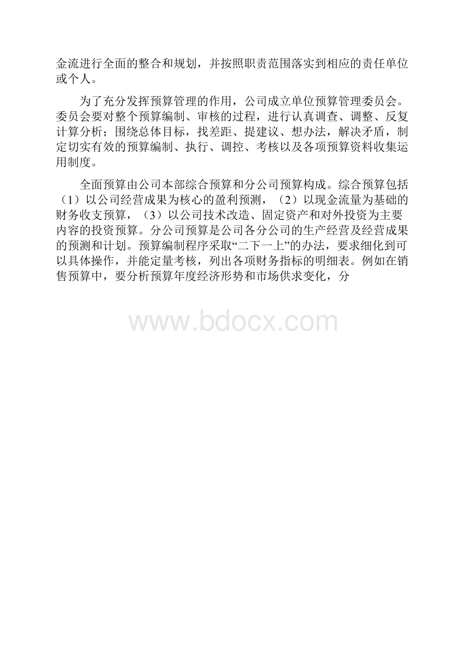 全面预算管理案例.docx_第2页