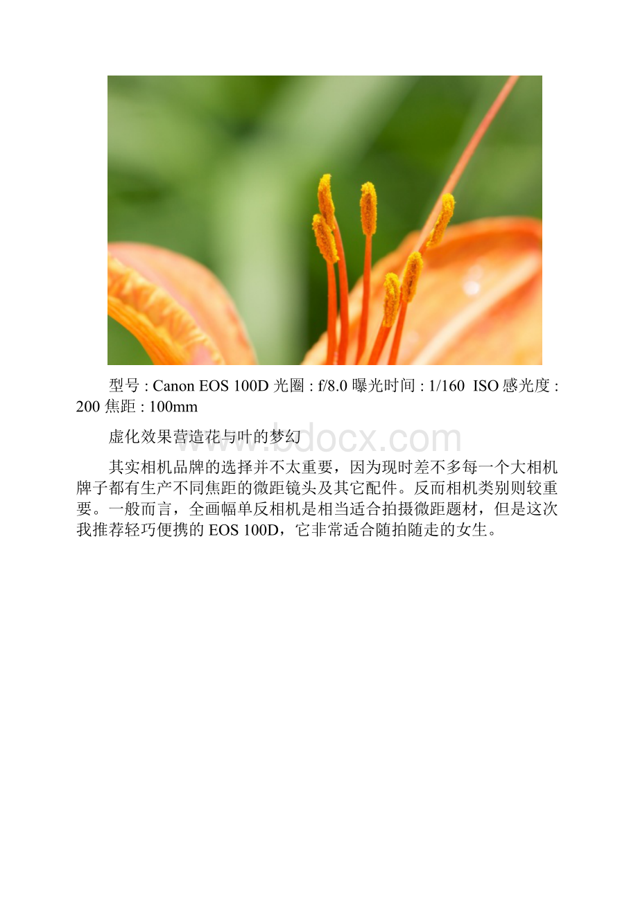 摄影微距摄影攻略.docx_第2页