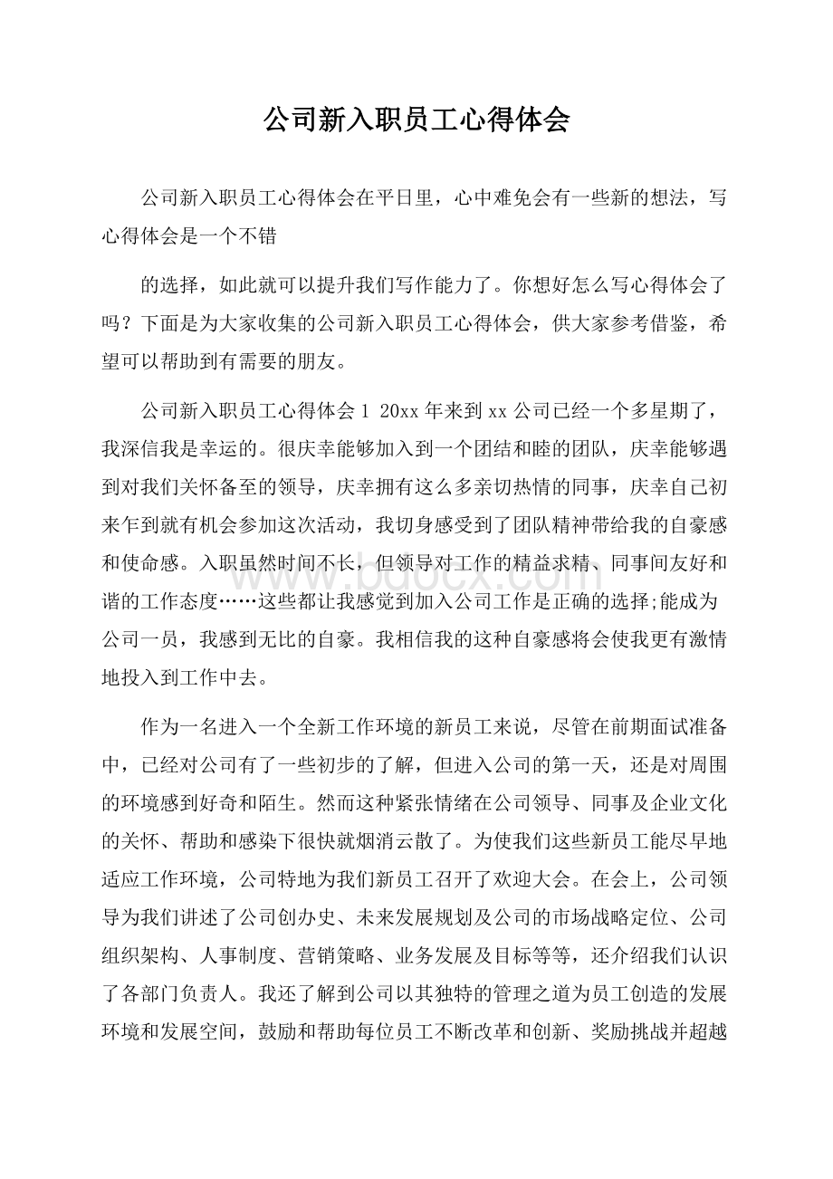 公司新入职员工心得体会.docx